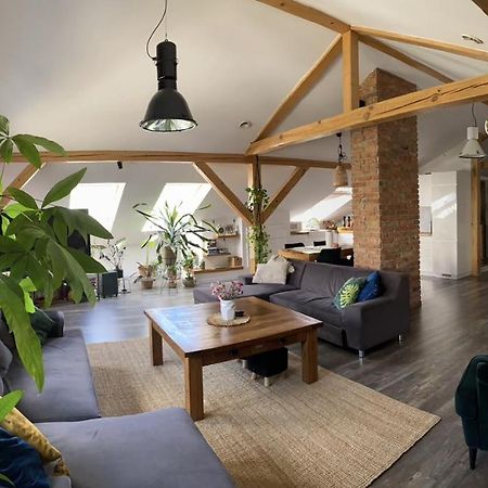 Zeromskiego Apartament Przemyśl Esterno foto