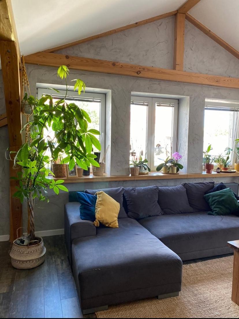 Zeromskiego Apartament Przemyśl Esterno foto